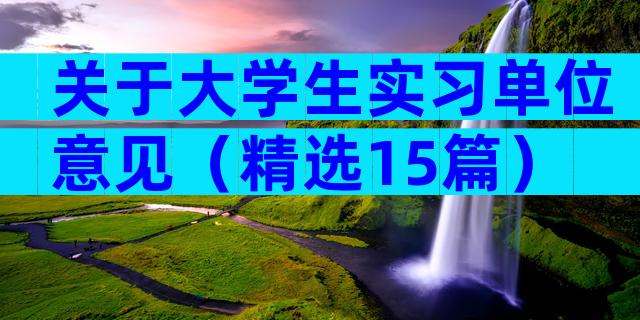 关于大学生实习单位意见（精选15篇）