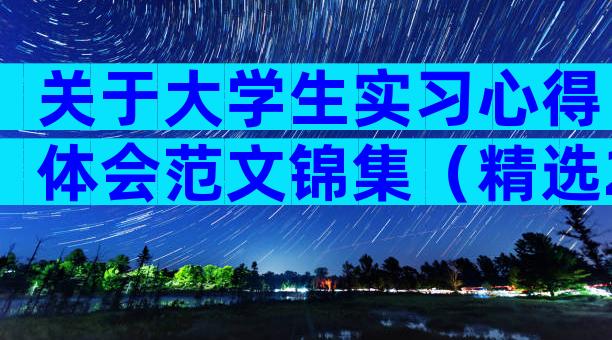 关于大学生实习心得体会范文锦集（精选29篇）