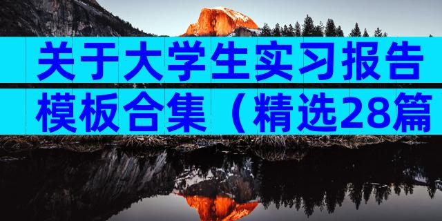关于大学生实习报告模板合集（精选28篇）