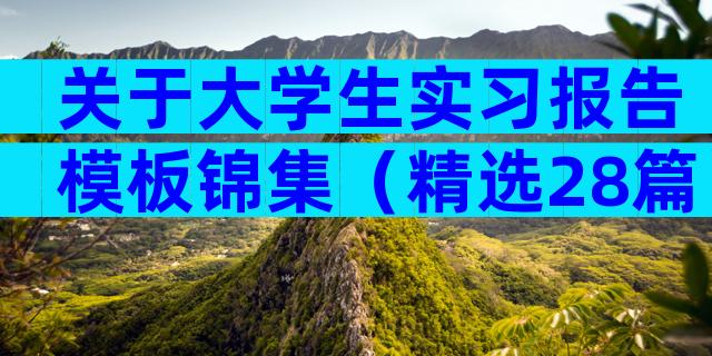 关于大学生实习报告模板锦集（精选28篇）