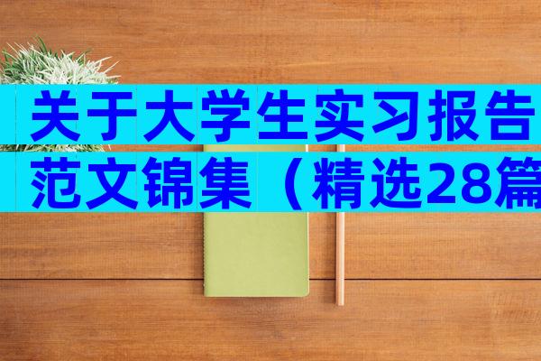 关于大学生实习报告范文锦集（精选28篇）