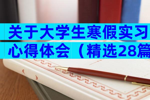 关于大学生寒假实习心得体会（精选28篇）