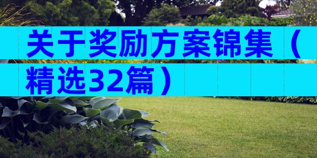 关于奖励方案锦集（精选32篇）
