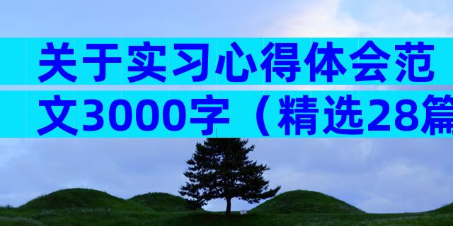 关于实习心得体会范文3000字（精选28篇）
