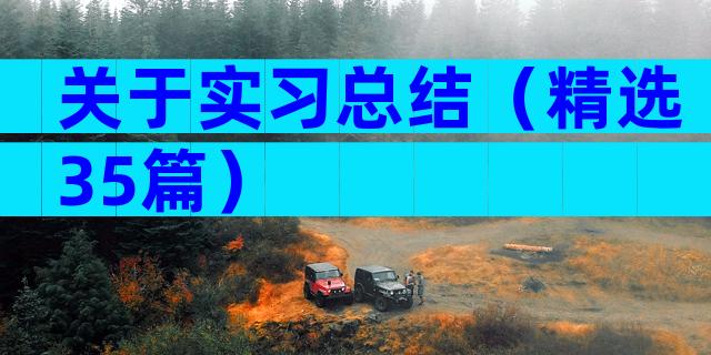 关于实习总结（精选35篇）