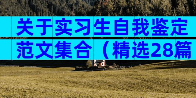 关于实习生自我鉴定范文集合（精选28篇）