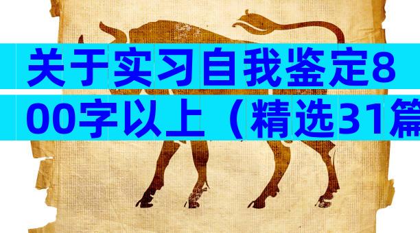 关于实习自我鉴定800字以上（精选31篇）