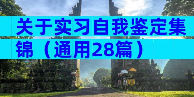 关于实习自我鉴定集锦（通用28篇）