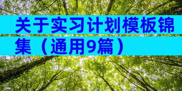关于实习计划模板锦集（通用9篇）