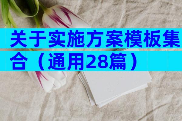 关于实施方案模板集合（通用28篇）