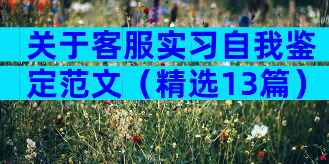 关于客服实习自我鉴定范文（精选13篇）