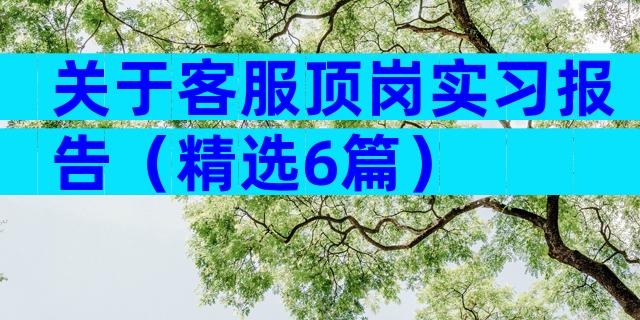 关于客服顶岗实习报告（精选6篇）