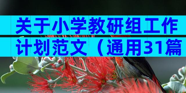 关于小学教研组工作计划范文（通用31篇）