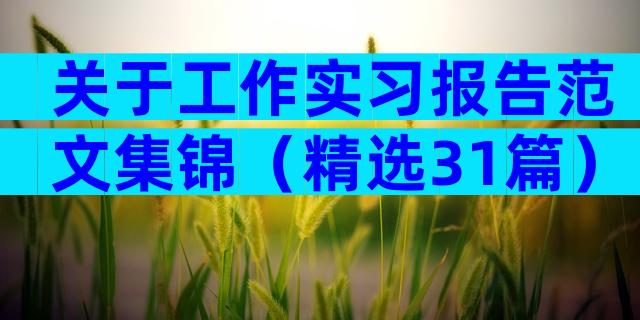 关于工作实习报告范文集锦（精选31篇）
