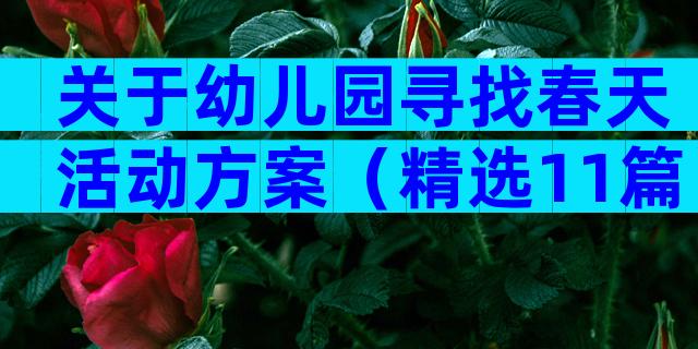 关于幼儿园寻找春天活动方案（精选11篇）