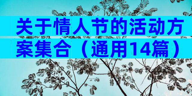 关于情人节的活动方案集合（通用14篇）