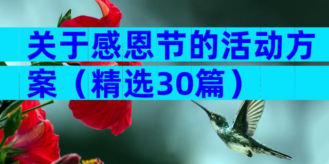 关于感恩节的活动方案（精选30篇）