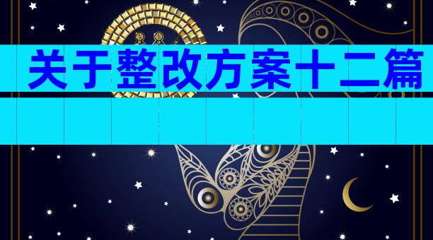 关于整改方案十二篇