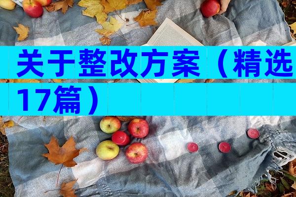关于整改方案（精选17篇）