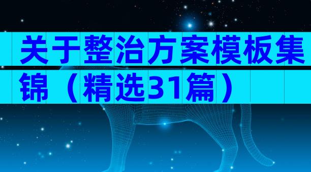 关于整治方案模板集锦（精选31篇）