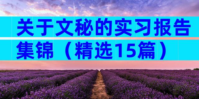 关于文秘的实习报告集锦（精选15篇）