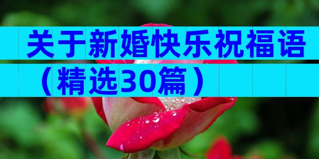 关于新婚快乐祝福语（精选30篇）