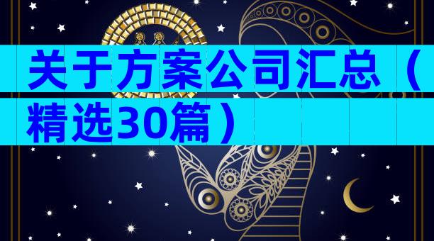 关于方案公司汇总（精选30篇）