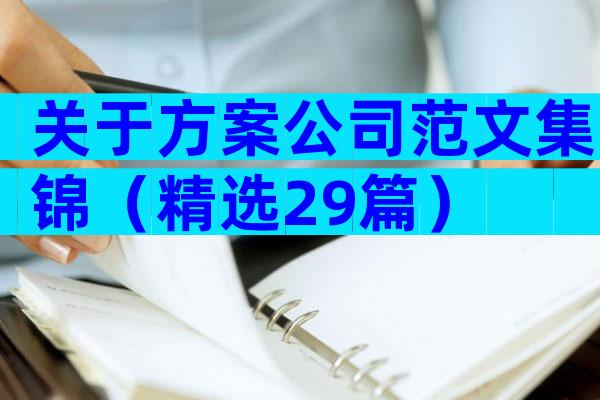 关于方案公司范文集锦（精选29篇）