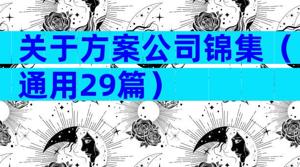 关于方案公司锦集（通用29篇）