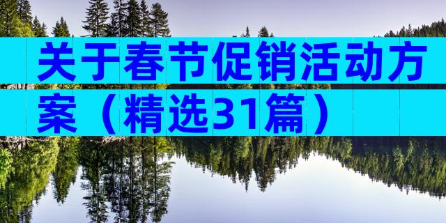 关于春节促销活动方案（精选31篇）