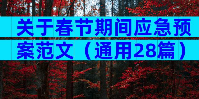 关于春节期间应急预案范文（通用28篇）