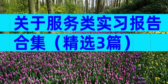 关于服务类实习报告合集（精选3篇）