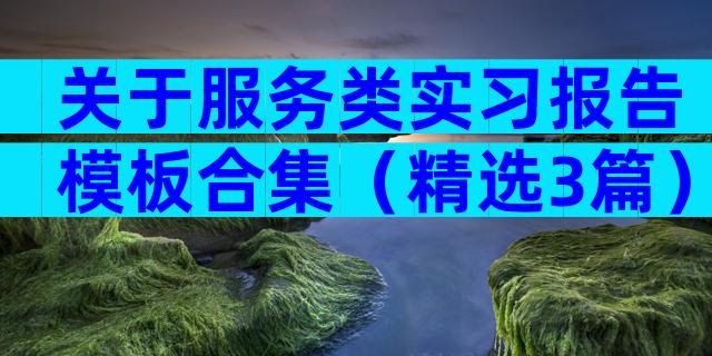 关于服务类实习报告模板合集（精选3篇）