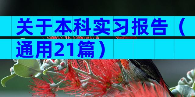 关于本科实习报告（通用21篇）