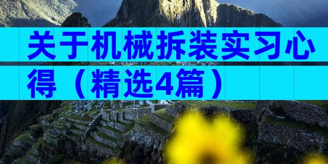 关于机械拆装实习心得（精选4篇）