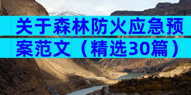 关于森林防火应急预案范文（精选30篇）