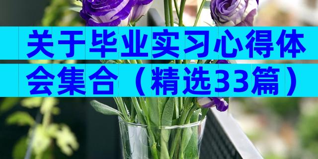 关于毕业实习心得体会集合（精选33篇）