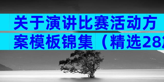 关于演讲比赛活动方案模板锦集（精选28篇）