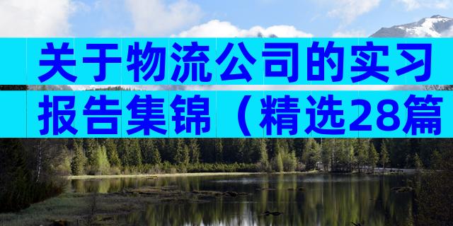 关于物流公司的实习报告集锦（精选28篇）