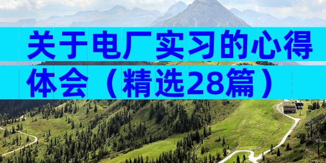 关于电厂实习的心得体会（精选28篇）