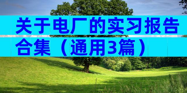 关于电厂的实习报告合集（通用3篇）