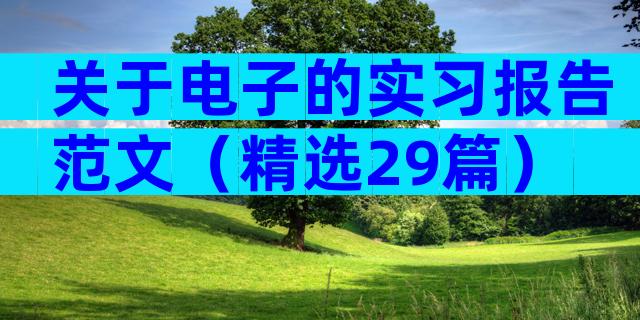关于电子的实习报告范文（精选29篇）
