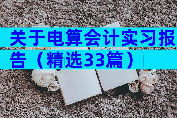 关于电算会计实习报告（精选33篇）