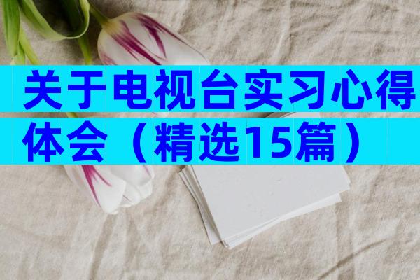 关于电视台实习心得体会（精选15篇）