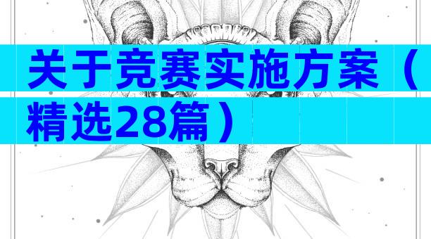 关于竞赛实施方案（精选28篇）