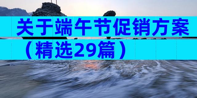 关于端午节促销方案（精选29篇）