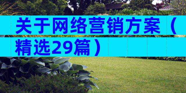 关于网络营销方案（精选29篇）