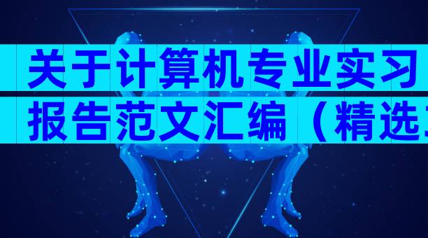 关于计算机专业实习报告范文汇编（精选32篇）