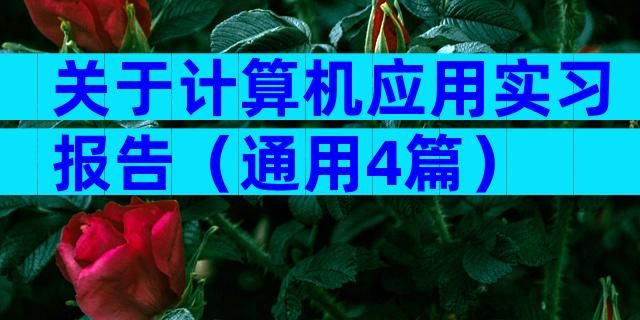 关于计算机应用实习报告（通用4篇）
