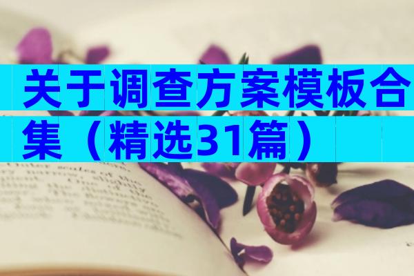 关于调查方案模板合集（精选31篇）